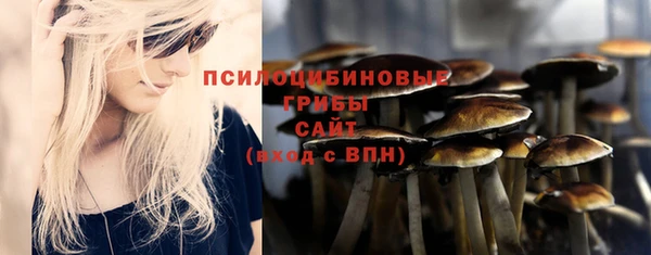 молекула духа Хадыженск