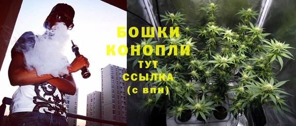 гидропоника Вяземский