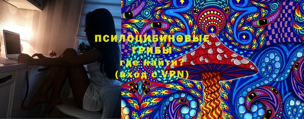 гидропоника Вяземский